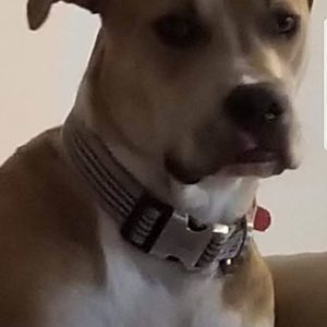 Meet your Posher, Richard